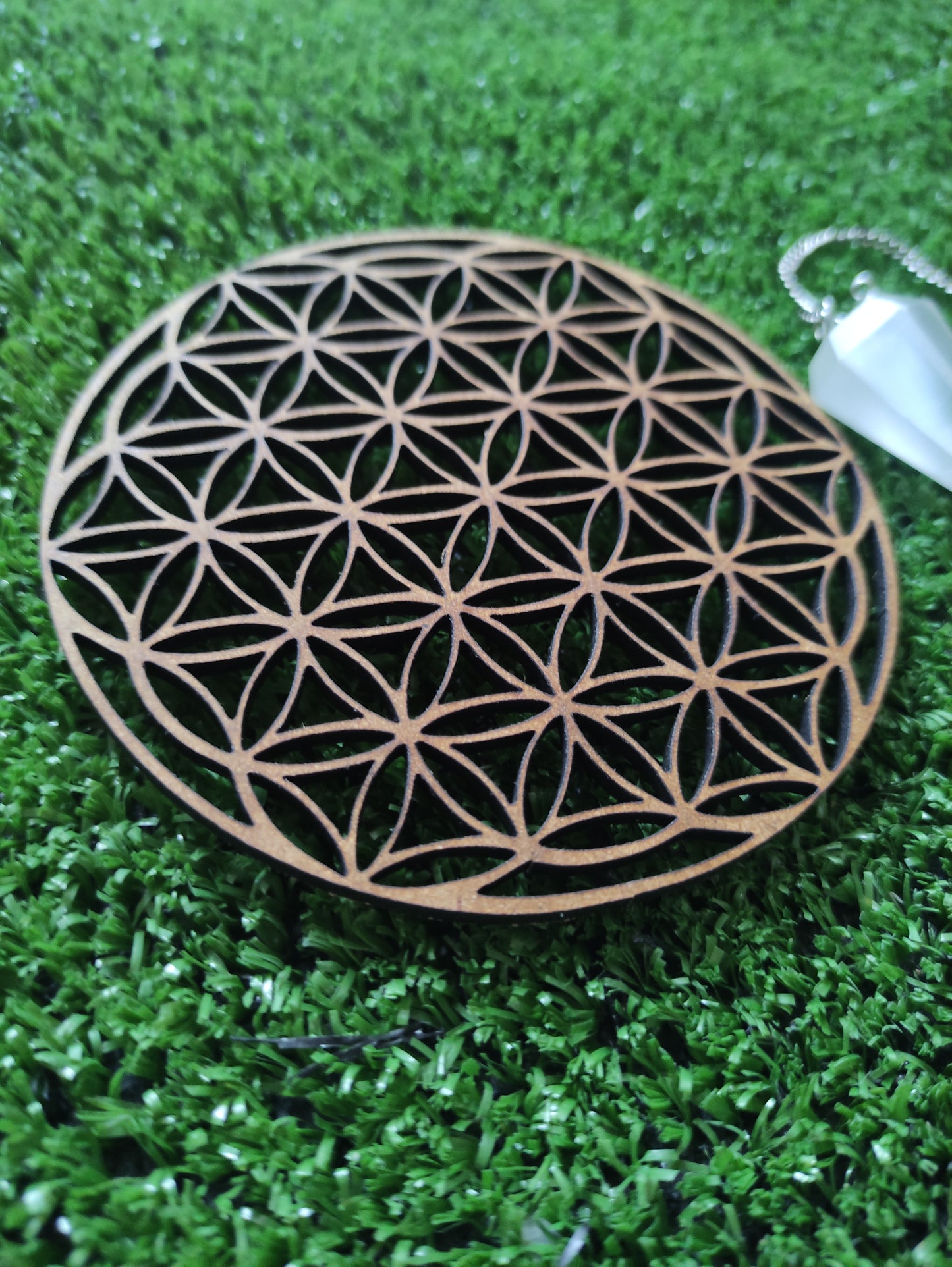 Pack Tameana + Akashi