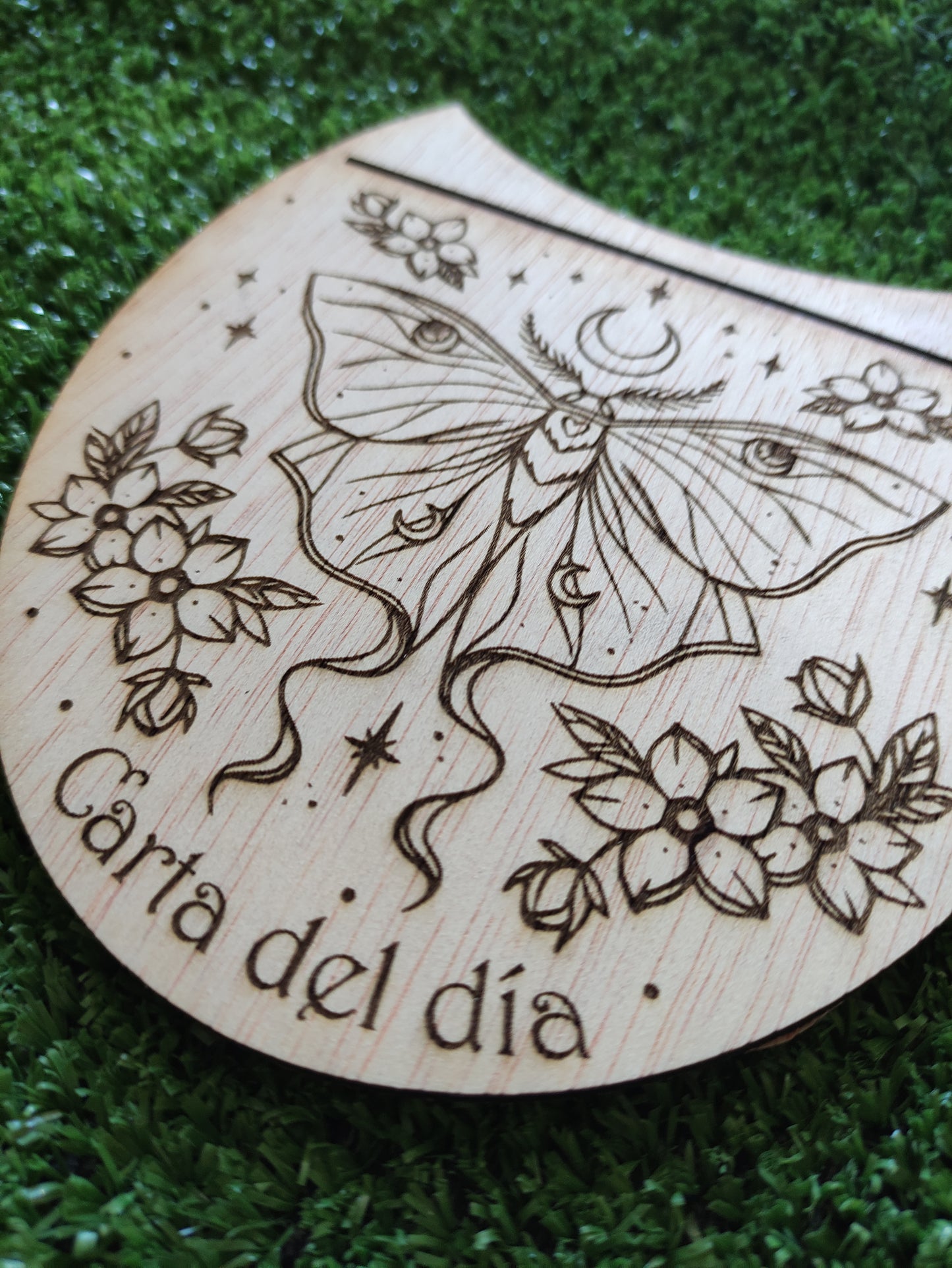 Soporte para carta del día-diseño polilla