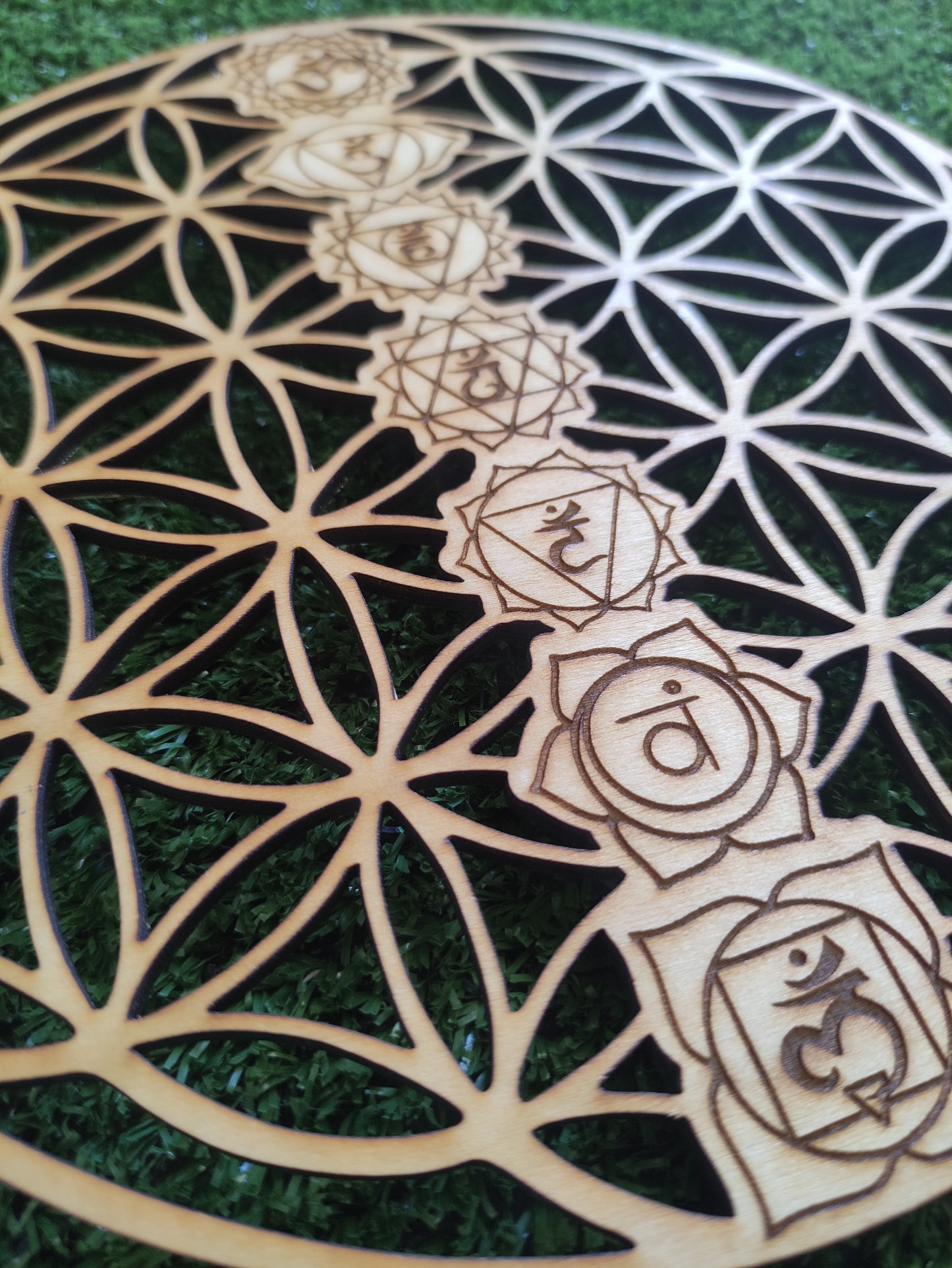 Flor vida con chakras
