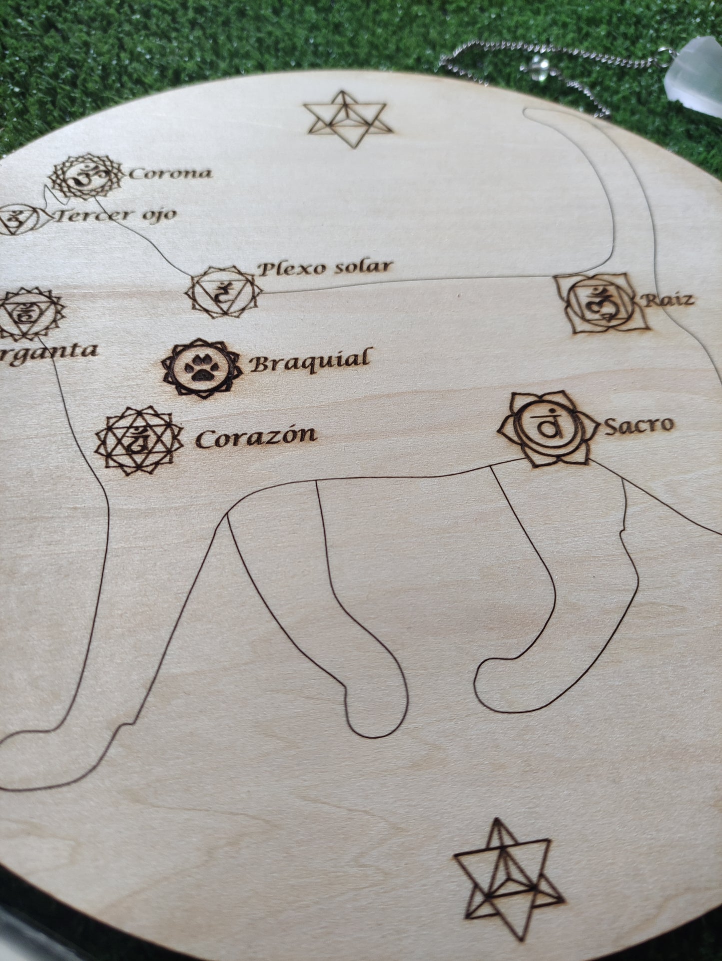Plantilla simple gato