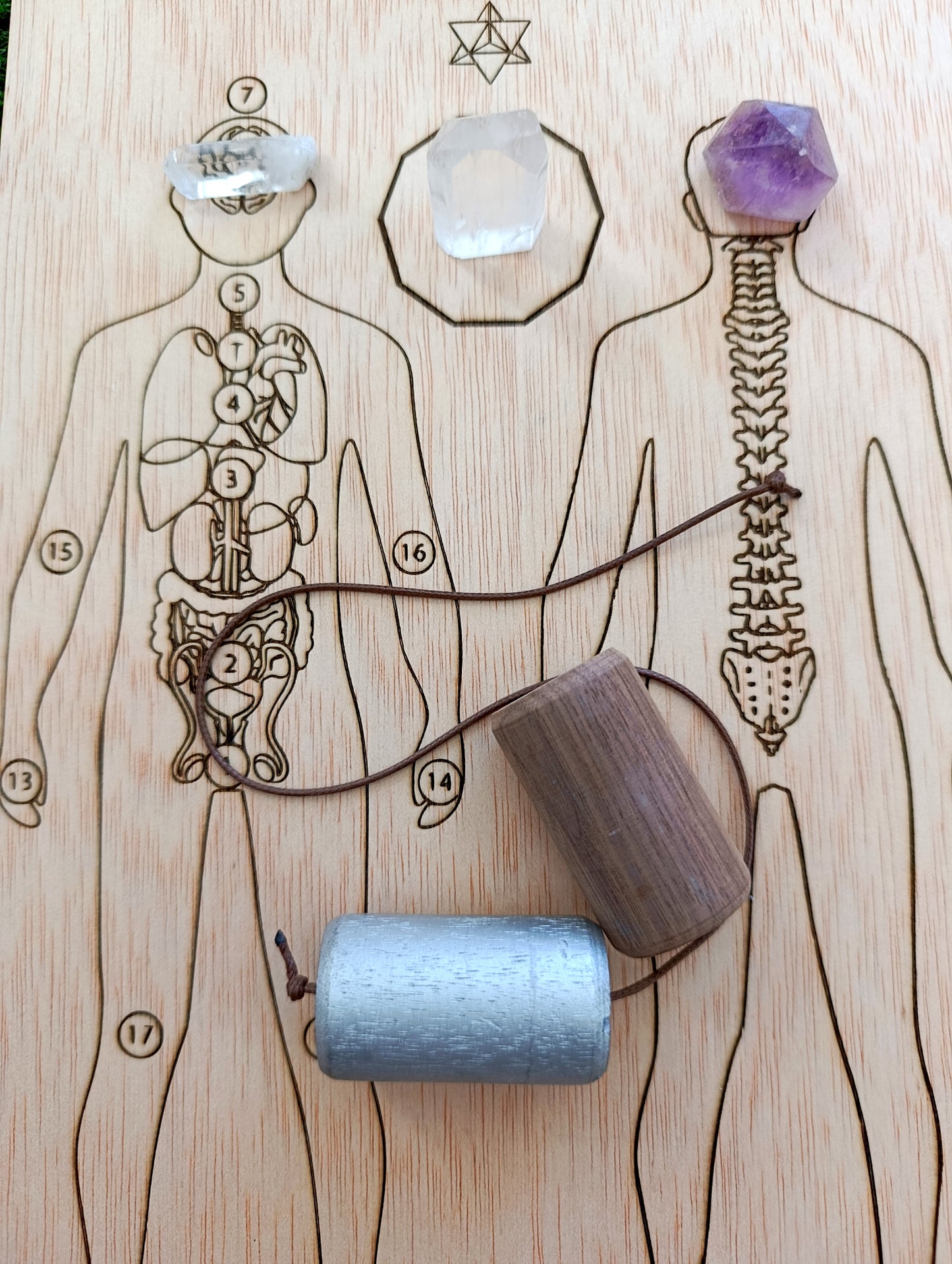 Tabla sanación hombre- órganos y columna