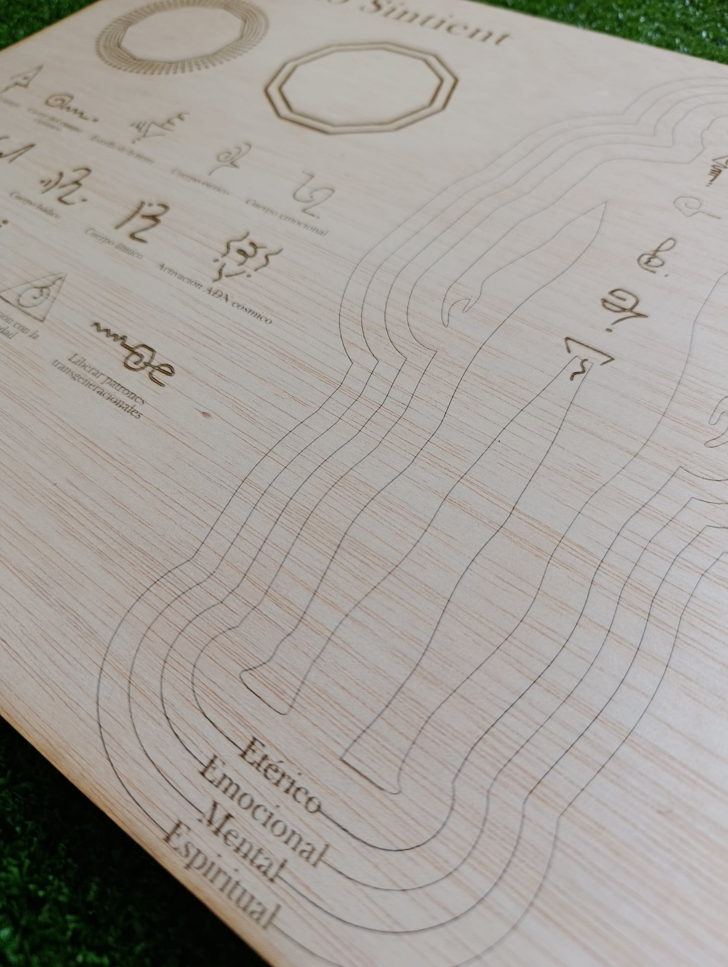 Pack método SINTIENT