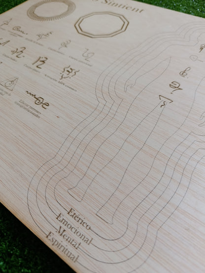 Pack método SINTIENT