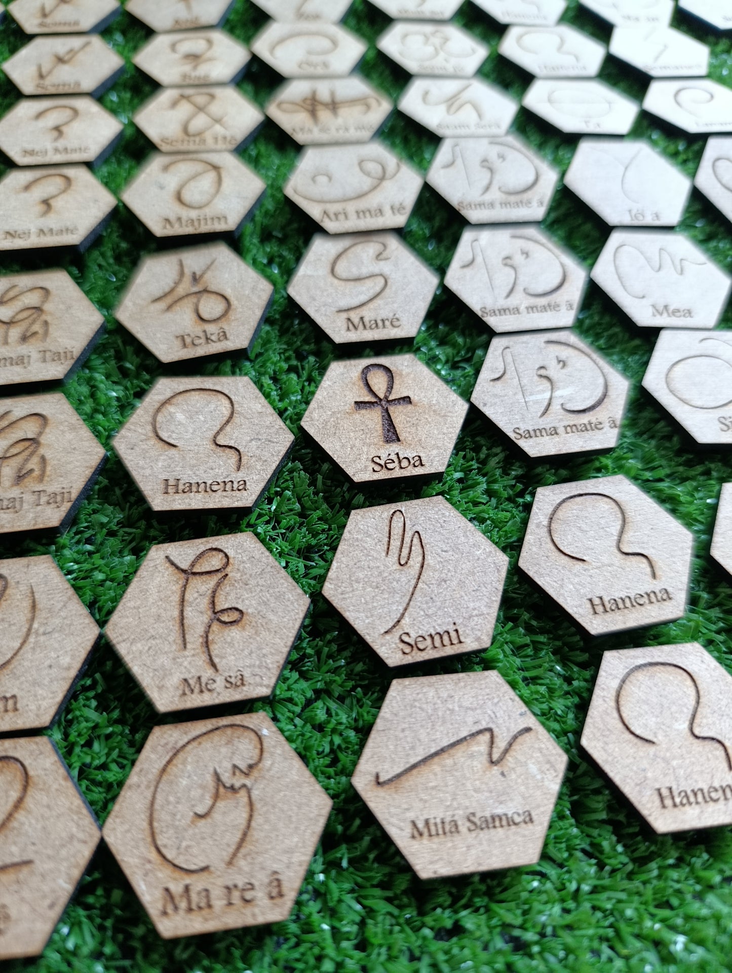 Pack Tameana + Akashi