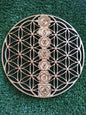 Flor vida con chakras